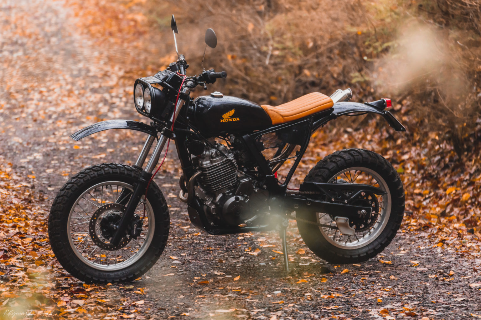 Honda nx 650 dominator 2024 scrambler