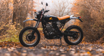 Honda NX650 Dominator by LLMotorcycles